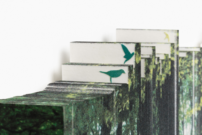 photography by Katariina Traeskelin STPI