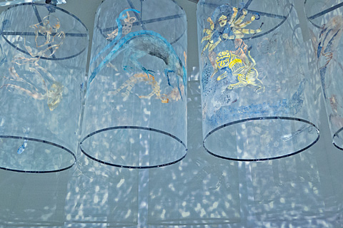 l2_v334166_958_480_320-12