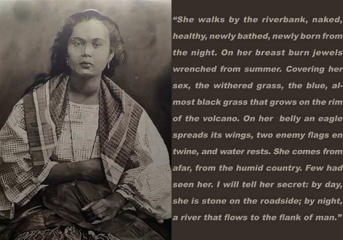 ROLD0010_Mestiza-2_2015_s