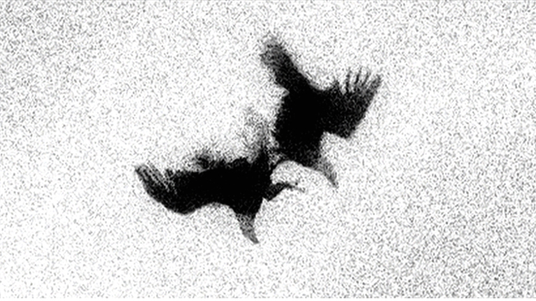 dp_of_dice_and_men_still_03_864