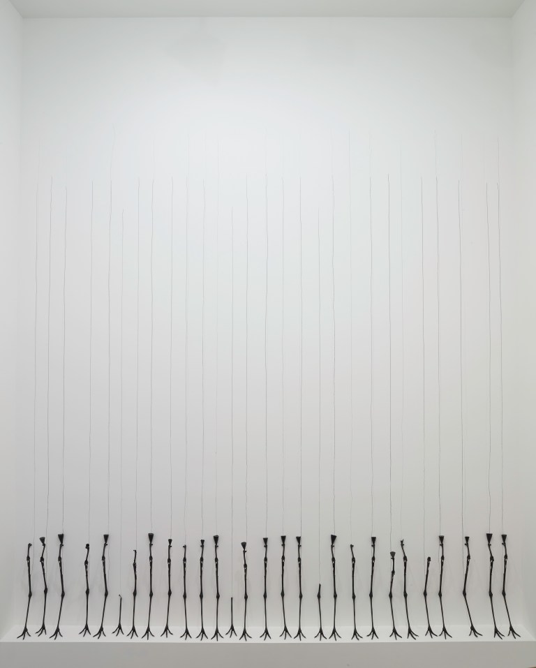 Michael-Joo-DRWN-Carunculatus-28-2015-Courtesy-the-artist-and-BlainSouthern-Photo-Peter-Mallet