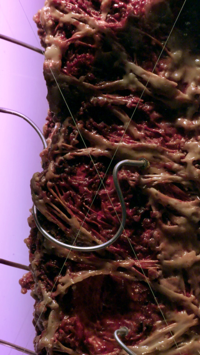 SN2016_01_06-e1464615004557